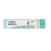 Boiron Ledum Palustre 6CH medicinale omeopatico granuli 4g-1
