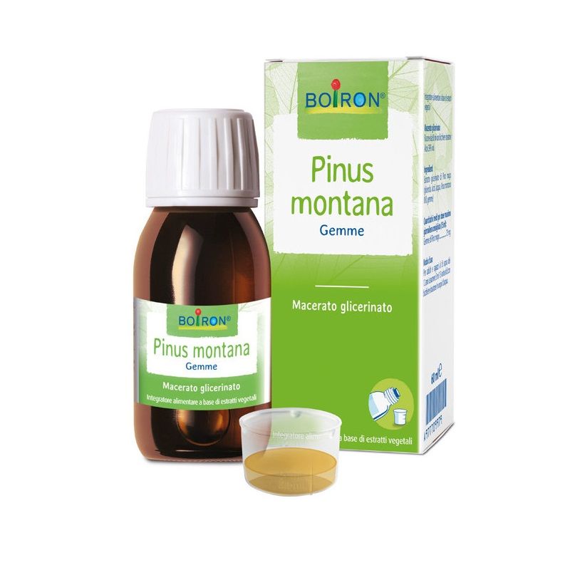 Boiron Pinus Montana Macerato Glicerinato Gemme 60ml-1