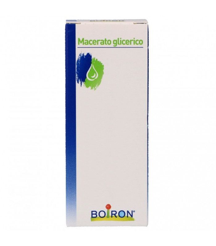 Boiron Ribes Nigrum Gemme 1DH medicinale omeopatico macerato glicerico 60ml-1