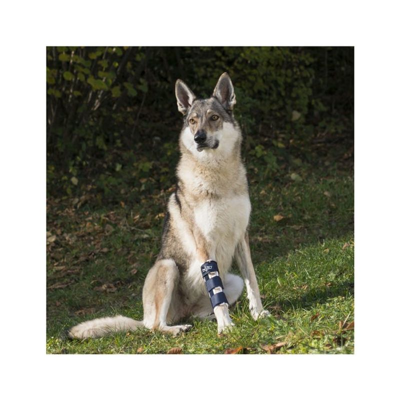Balto BT Bone Tutore per Fratture della Zampa Anteriore Taglia XS-2