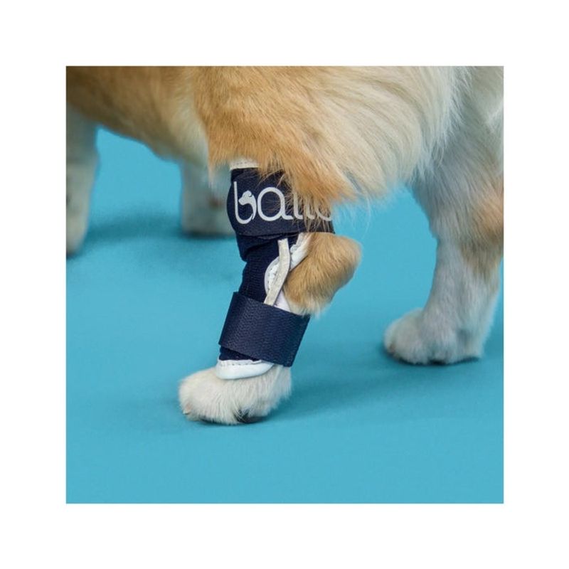 Balto BT Hock Tutore Per Garretto Taglia XL-3
