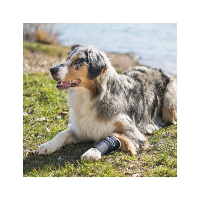 Balto BT Joint Tutore del Carpo Taglia S-2