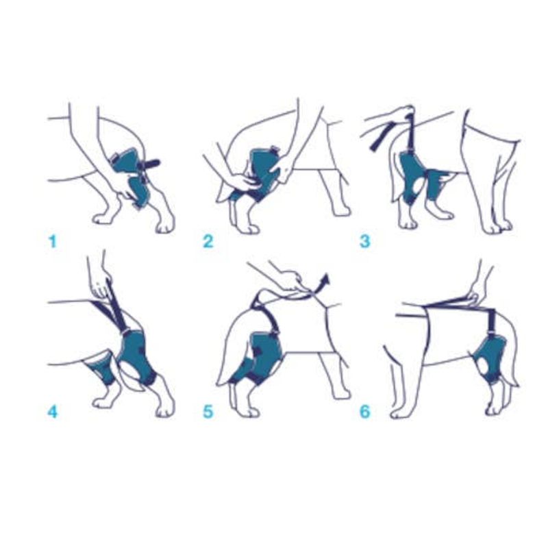 Balto BT Jump Plus Tutore Doppio per Ginocchio Taglia L-4
