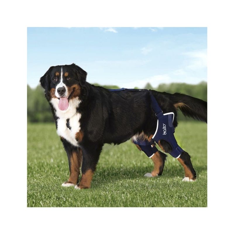 Balto BT Jump Plus Tutore Doppio per Ginocchio Taglia XS-2