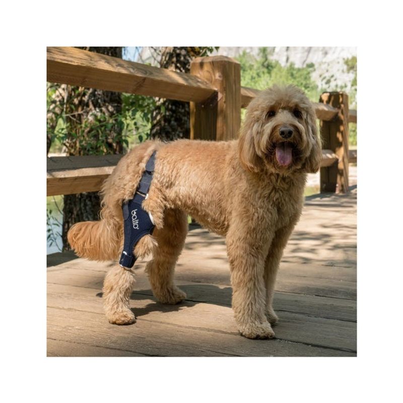Balto BT Jump Tutore Ginocchio Destro Taglia L-2