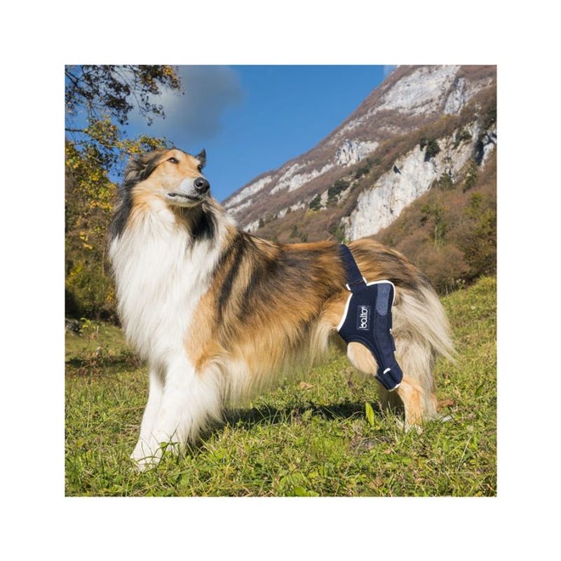 Balto BT Jump Tutore Ginocchio Sinistro Taglia XS-2