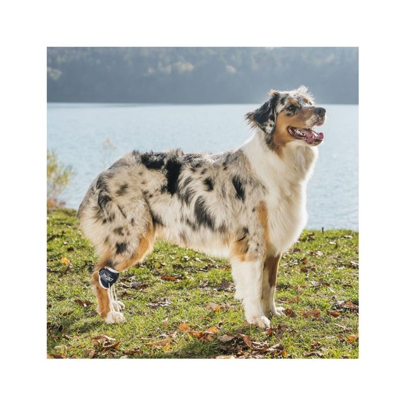 Balto BT Pull Tutore Per Iperflessione Delle Falangi Taglia L-2