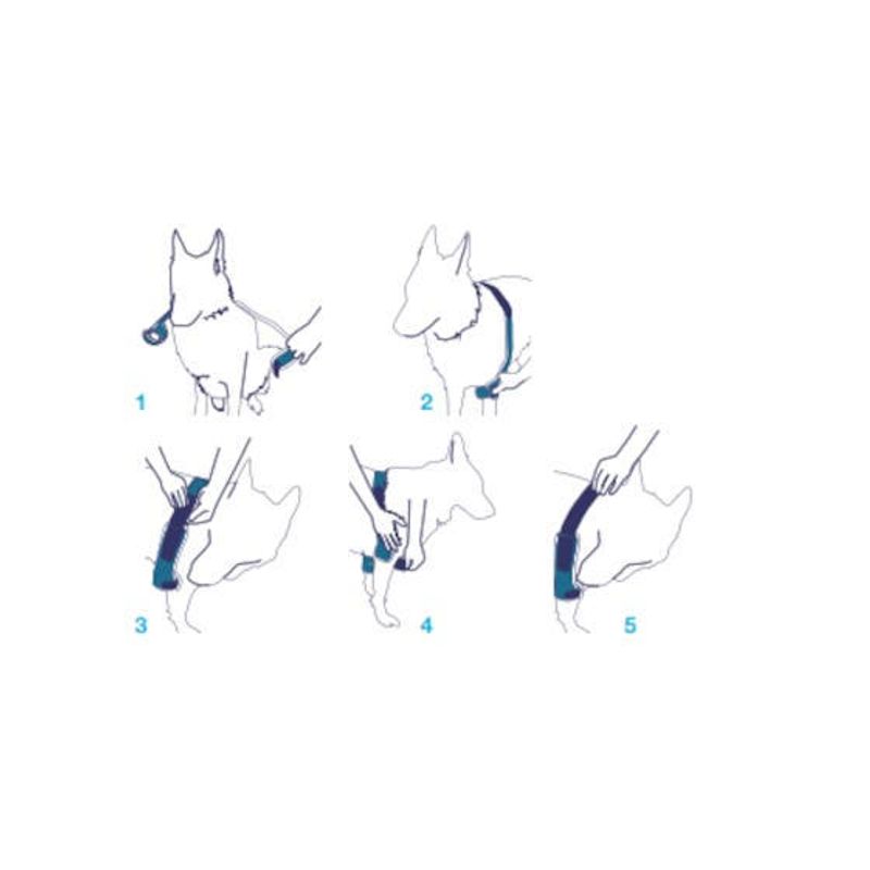 Balto BT Soft Plus Tutore per Gomito Doppio Taglia M-3