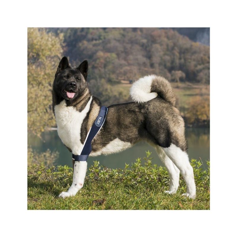 Balto BT Soft Plus Tutore per Gomito Doppio Taglia S-2