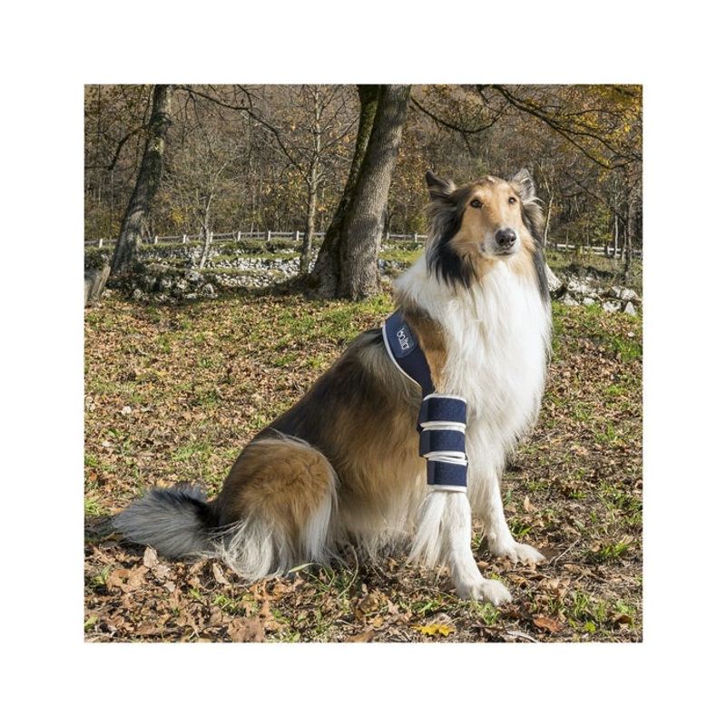 Balto BT Soft Tutore per Gomito Sinistro Taglia S-2