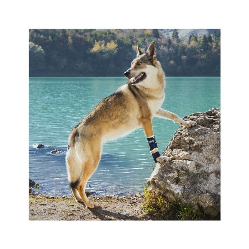 Balto BT Splint Tutore Per Lassità di Carpo o Tarso Taglia M-2
