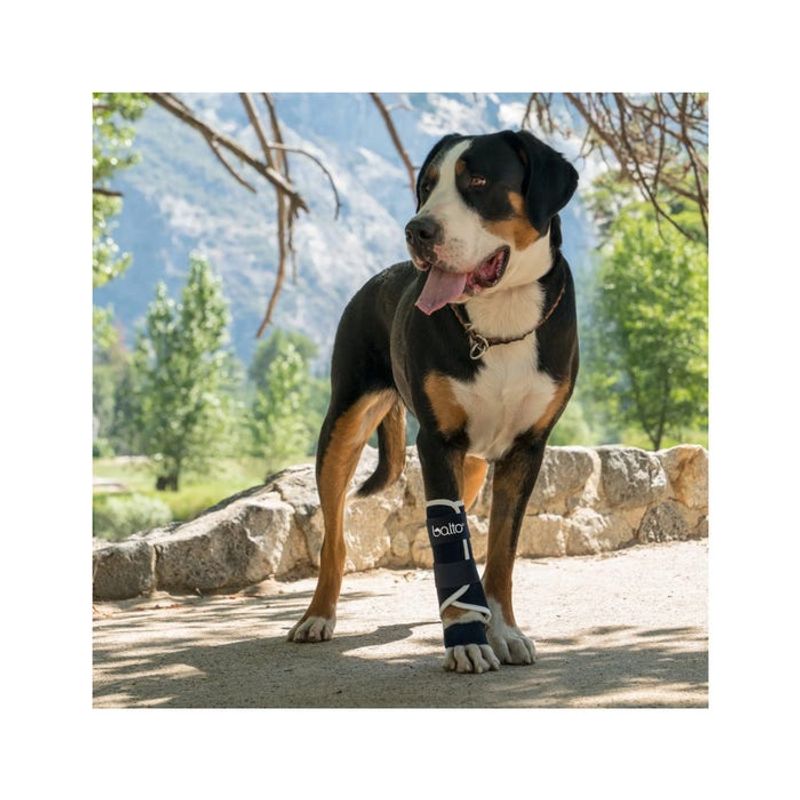 Balto BT Splint Tutore Per Lassità di Carpo o Tarso Taglia XXS-3