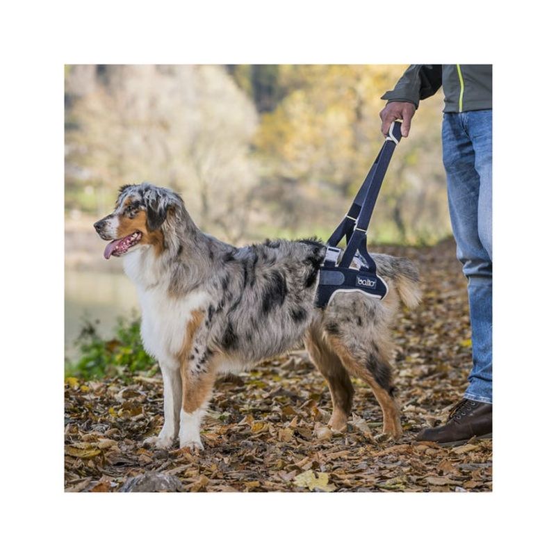 Balto BT Up Sospensore Posteriore Con Maniglia Taglia S-2