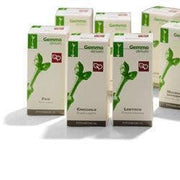 Fitomedical Lentisco Macerato Glicerinato Bio 50ml-1