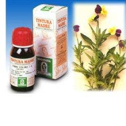 VIOLA DEL PENSIERO 32 50ML TM-1