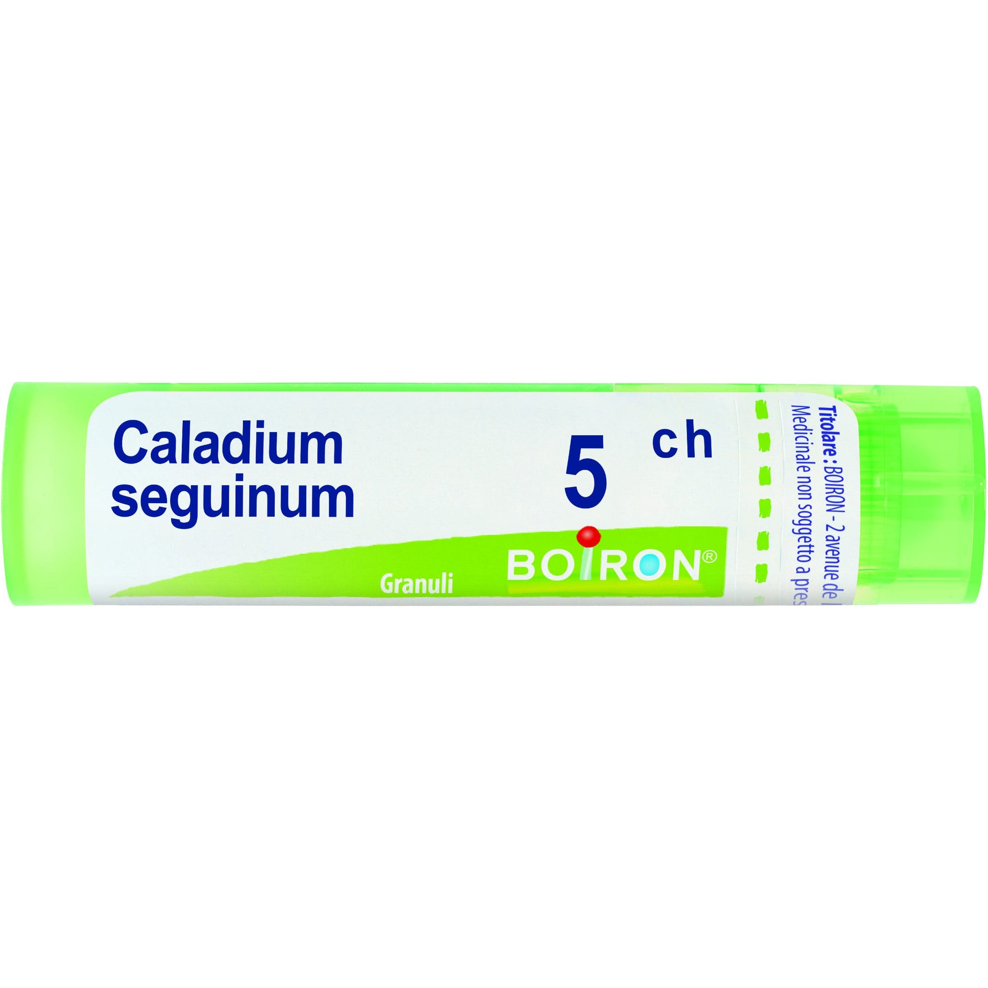 Boiron Caladium Seguinum 05Ch Tubo 80 Granuli 4g-1