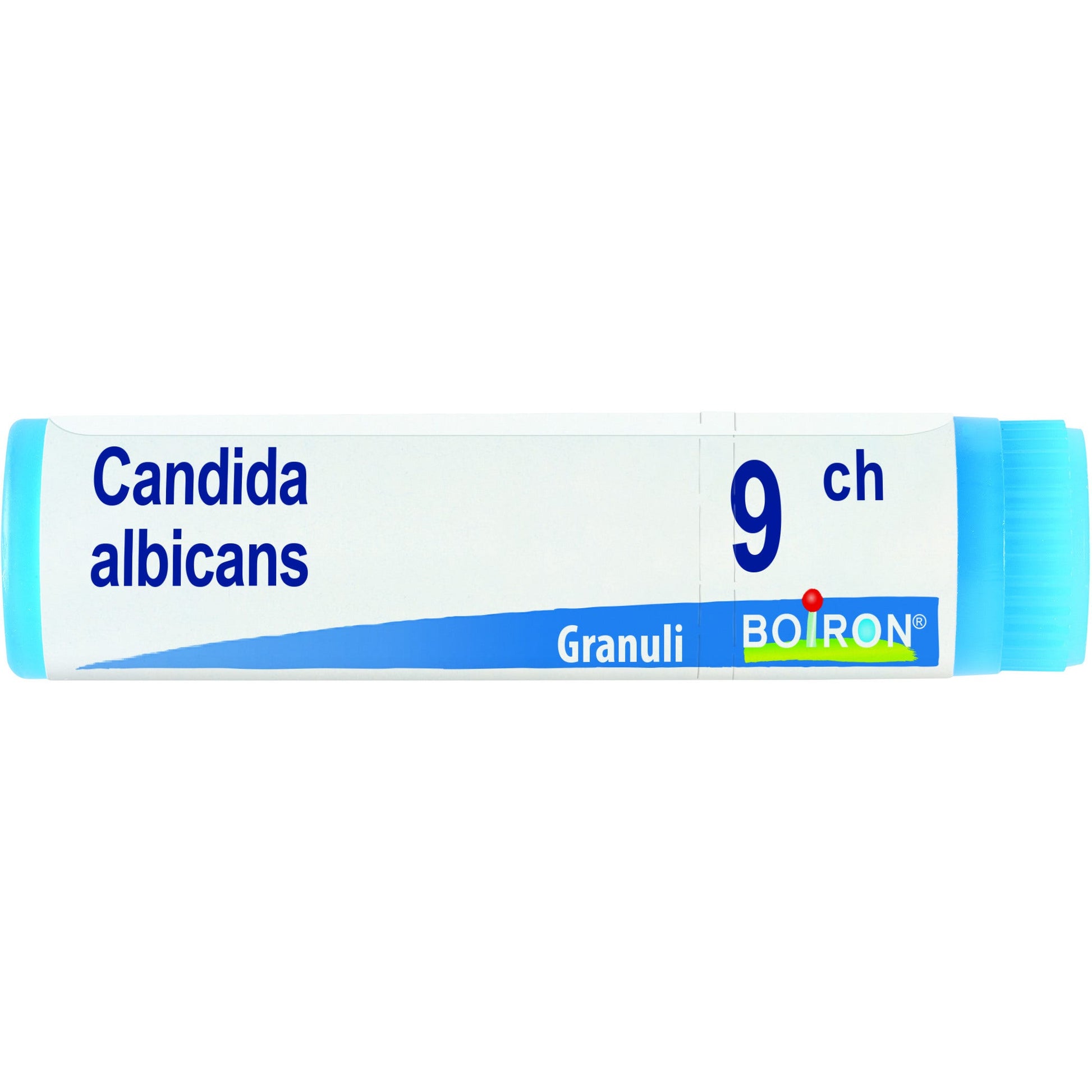 Boiron Candida Albicans Globuli 09Ch Dose 1g-1