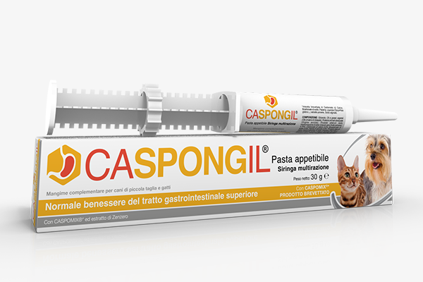 Shedir Pharma Caspongil Pasta 30g-1