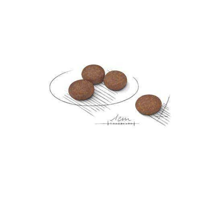 Royal Canin Digestive Care Crocchette Per Cani Mini Sacco 3kg-2