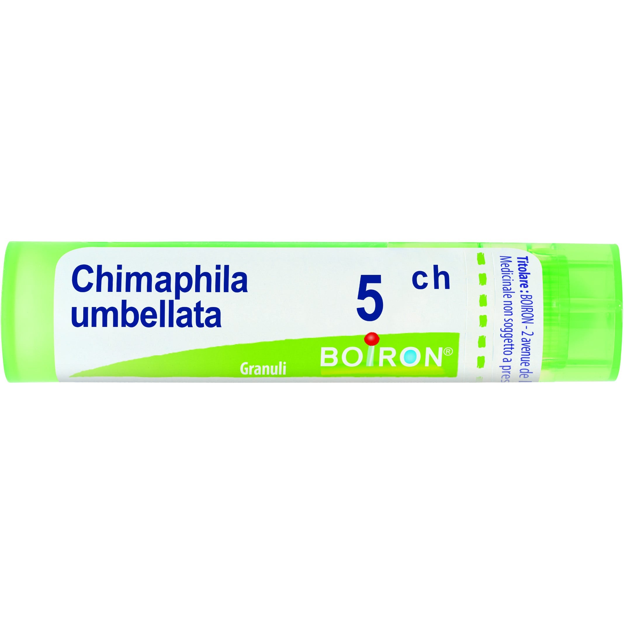 Boiron Chimaphila Umbellata Granuli 05Ch Tubo 4g-1