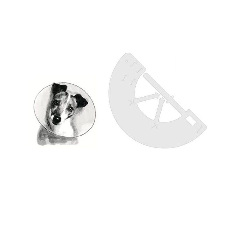 Collare Elisabetta ProfiCollar Classic Opaco Misura 35 XXXL-1