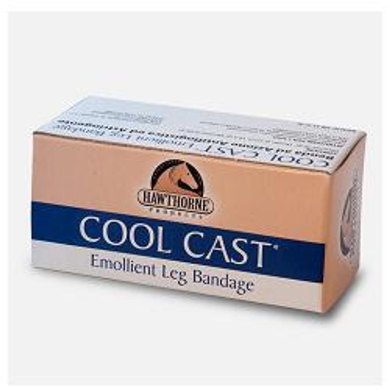 Equality Cool Cast bendaggio emolliente 1 rotolo 7.62x912cm-1