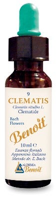BENOIT FIORI DI BACH CLEMATIS-1