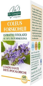COLEUS FOR ESTR TIT 60PAST-1