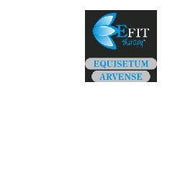 EQUISETUM ARVENSE EF 30ML-1