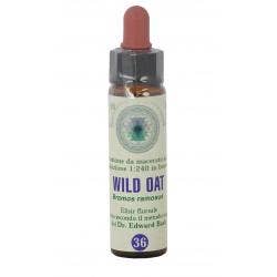 FIORI DI BACH 36 WILD OAT GTT-1
