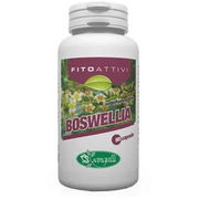 FITOATTIVI BOSWELIA 90CPS-1