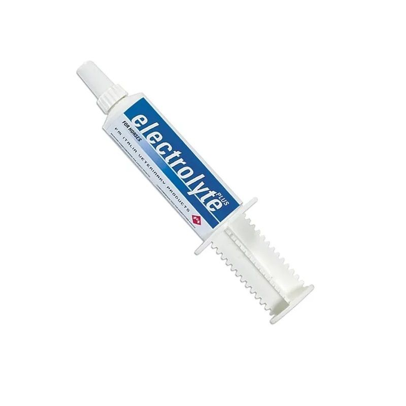Electrolyte Plus Pasta Orale Per Equini Sportivi 50g-1