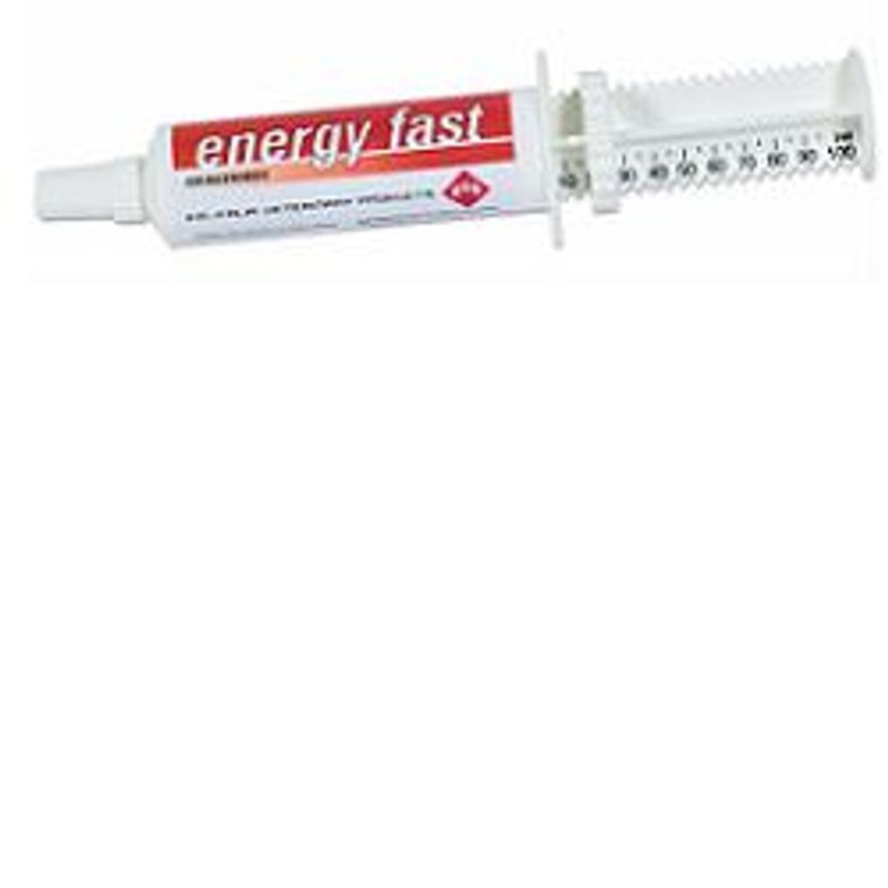 Energy Fast Sospensione Orale Siringa Per Cavalli 80g-1