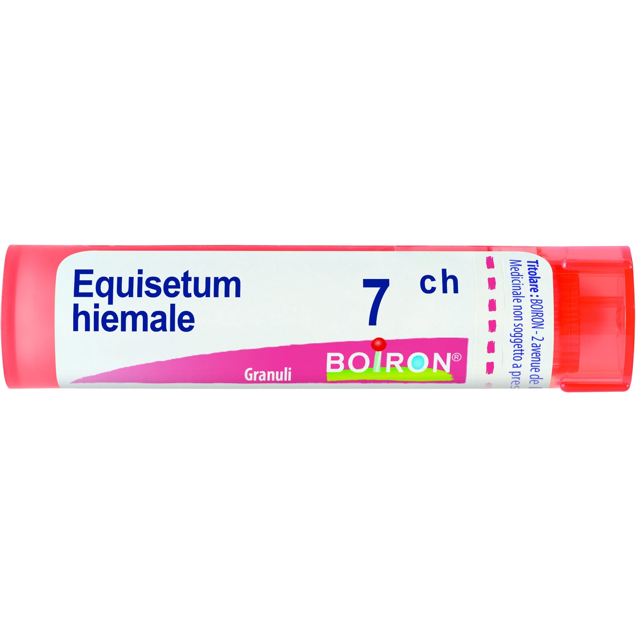 Boiron Equisetum Hiemale Granuli 07Ch Tubo 4g-1