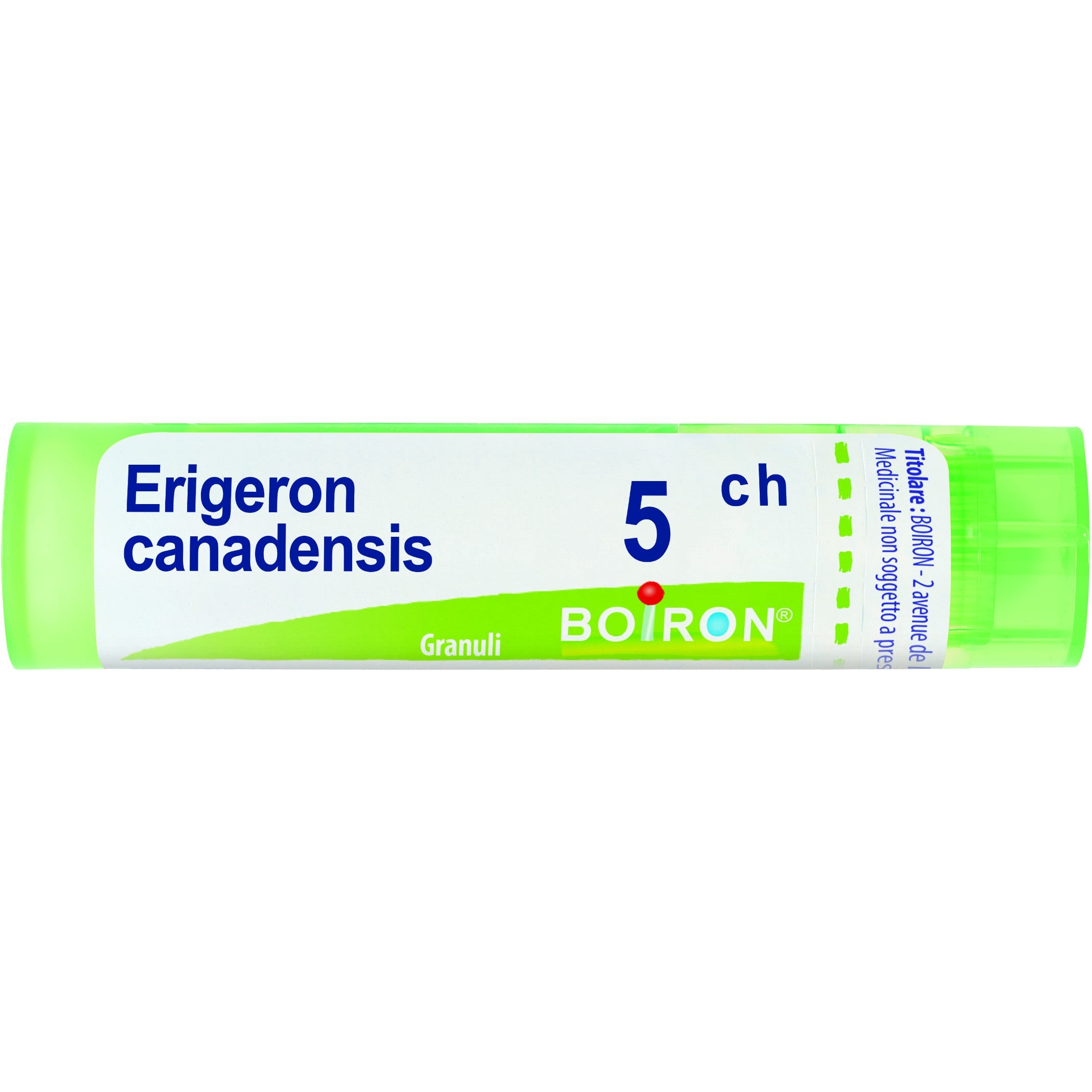 Boiron Erigeron Canadensis Granuli 05Ch Tubo 4g-1