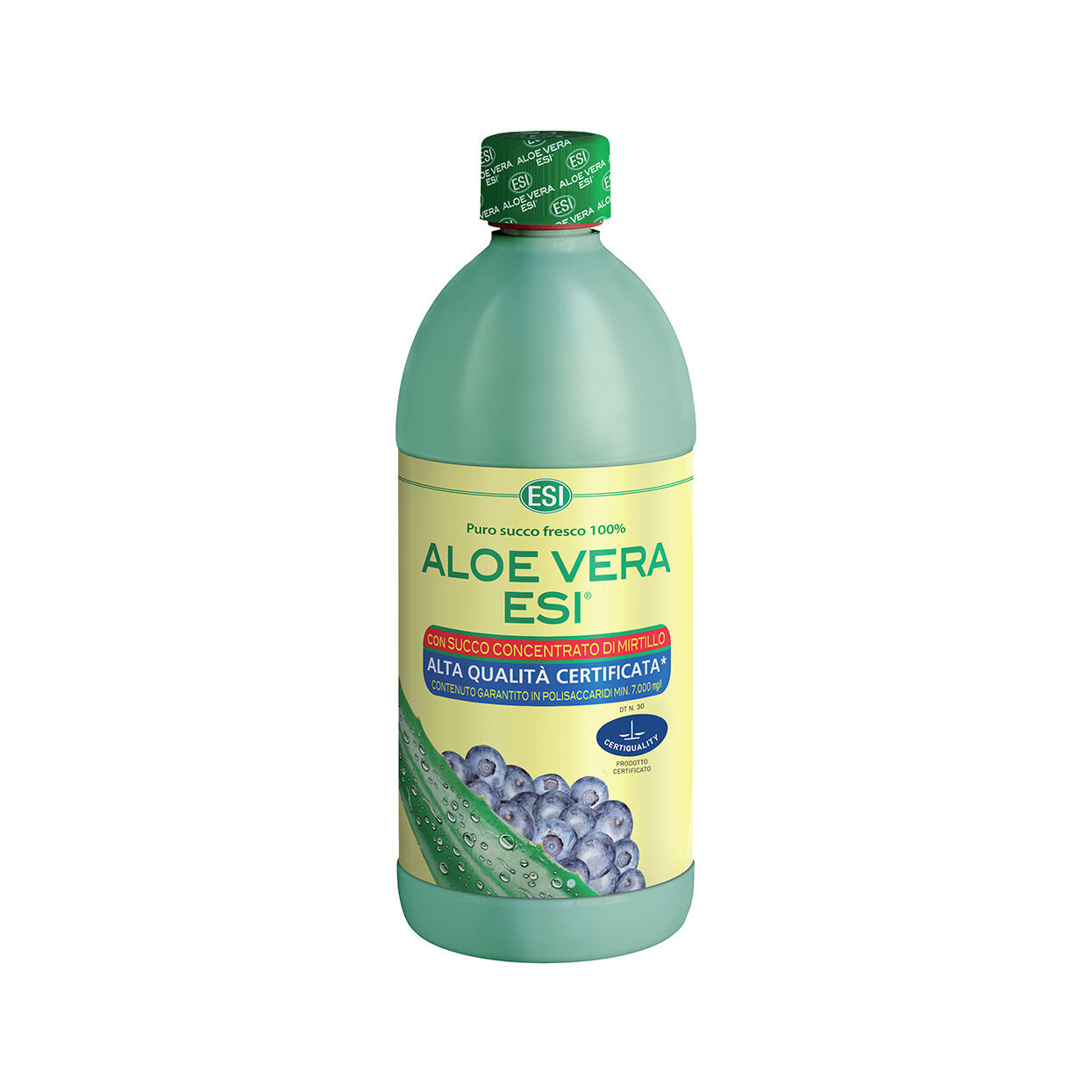 Aloe Vera Esi con succo concentrato di Mirtillo 1 litro-2