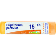 Boiron Eupatorium Perfoliatium 15 ch Tubo 4g-1