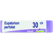 Boiron Eupatorium Perfoliatum Globuli 30Ch Dose 1g-1