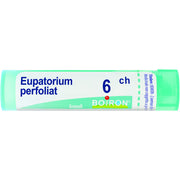 Boiron Eupatorium Perfoliatum 6Ch Tubo 80 Granuli 4g-1