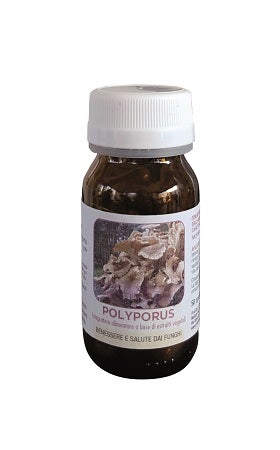 DR POCK POLYPORUS 50CPS-1