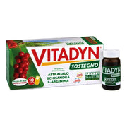 Vitadyn Sostegno 10 Flaconcini Da 10ml-1