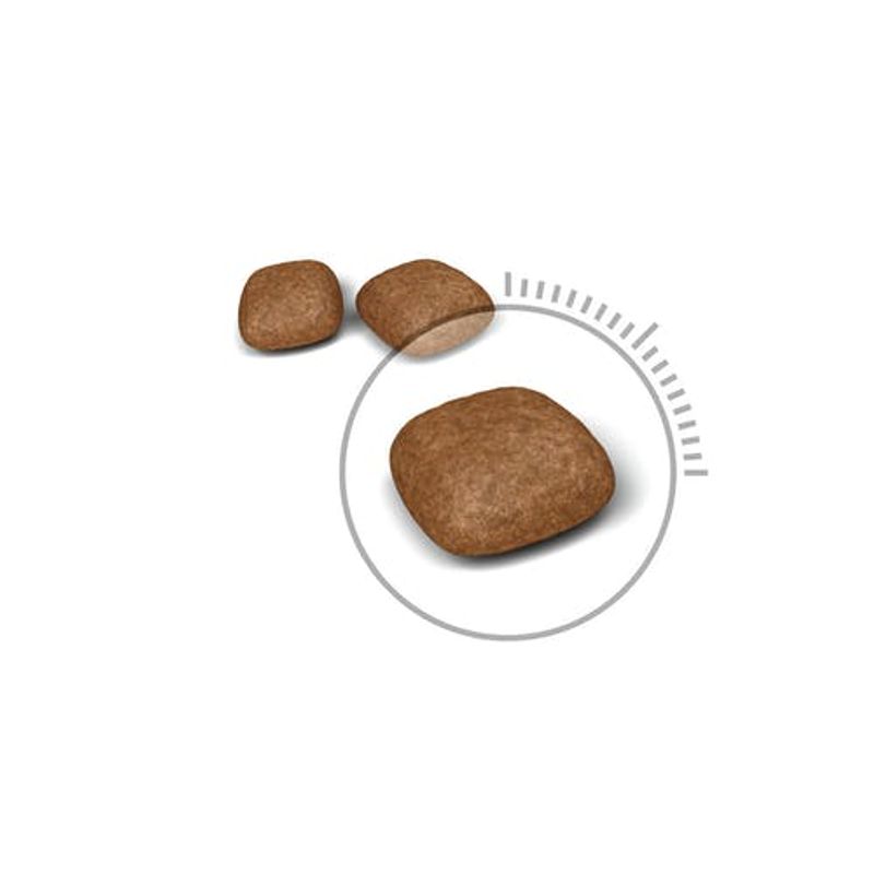 Royal Canin Urinary Care Crocchette Per Gatti 400g-2