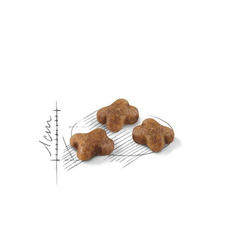 Royal Canin Kitten Crocchette Per Gatti 400g-2