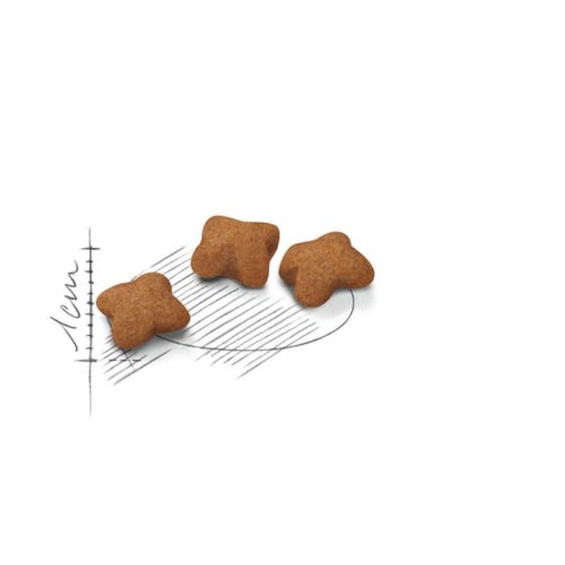 Royal Canin Kitten Sterilised Crocchette Per Gatti Sterilizzati 400g-2