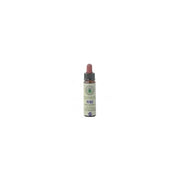 Fiori Di Bach 24 Pine 10ml-1