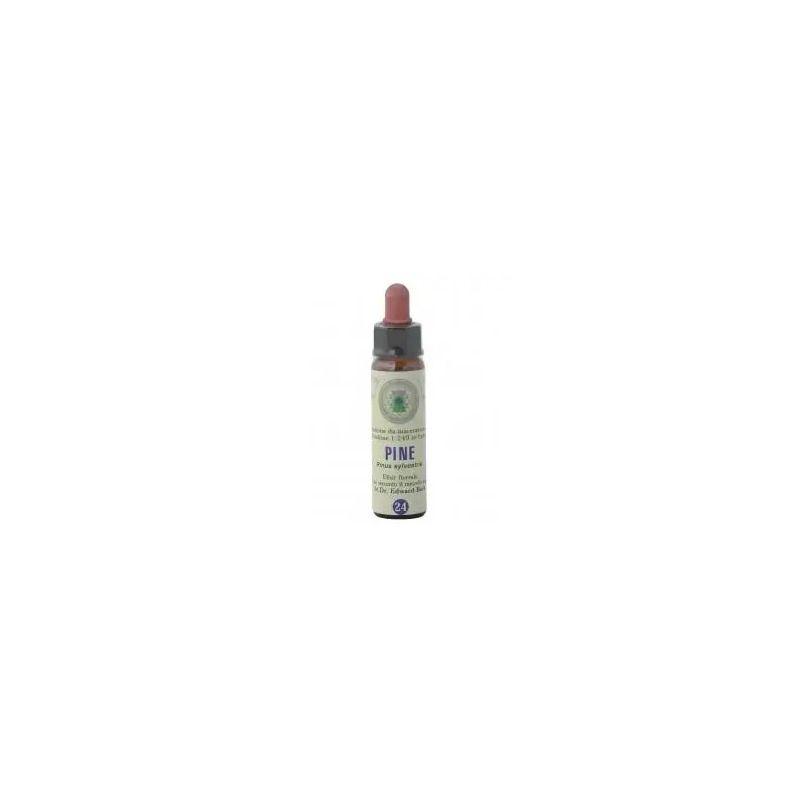 Fiori Di Bach 24 Pine 10ml-1
