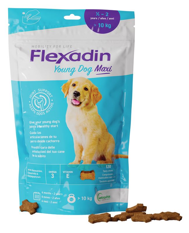 Flexadin Young Mangime Complementare Articolazioni Cani Giovani Taglia Grande 120 Tavolette-1