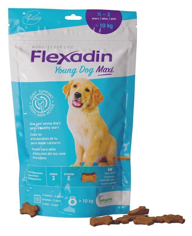 Flexadin Young Mangime Complementare Articolazioni Cani Giovani Taglia Grande 60 Tavolette-1