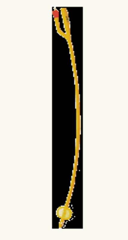 Catatere Foley Lattice CH14-1