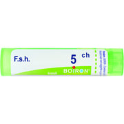Boiron F.S.H. Granuli 05Ch Tubo 4g-1